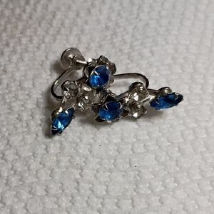 Vintage Bugbee & Niles Blue and Silver Floral Rhinestone Screw Earrings